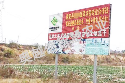 福建泉州惠安蔬菜農(nóng)民合作社種植基地項(xiàng)目